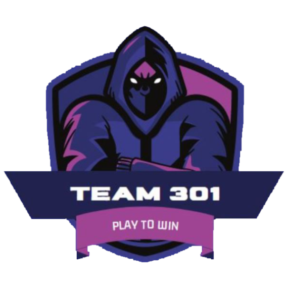 team301
